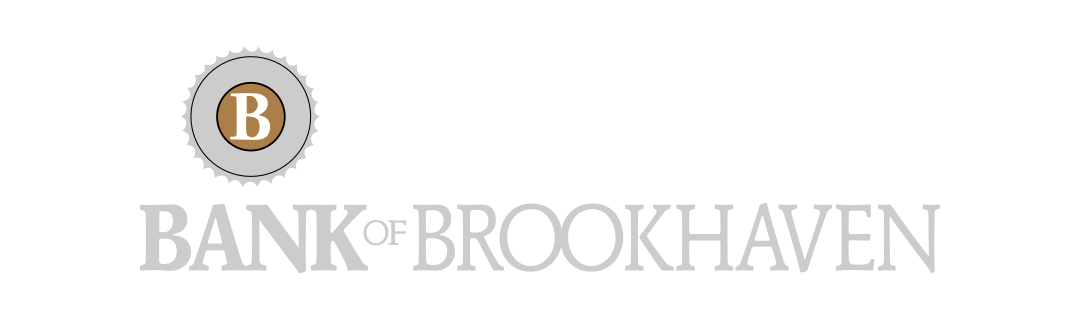 Bank Brookhaven Icon